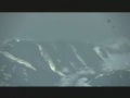 Ace Combat 6 Mission07 CFA-44 -PROTOTYPE- (ADMM)