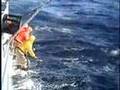 videos de AAFA Tuna Fishing