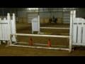 videos de me jumping pony