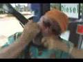 Pain at the Pump by Brent Burns