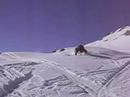 Freestyle ski