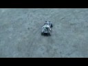 No RC,Robot explorador Bat Bot, gobernado por Basic Stamp No RC,Robot explorador Bat Bot, gobernado por Basic Stamp