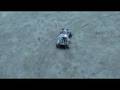 videos de No RC,Robot explorador Bat Bot, gobernado por Basic Stamp