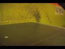 Incline Skatin