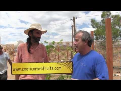 6:0 Organic Fruit Trees Arrive