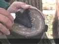 Hoof Building, Tips on Protecting and Building Sole Callous