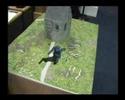 Interaction with an Augmented Reality Avatar Interaction with an Augmented Reality Avatar