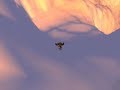 Project Ascent - Northrend