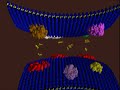 Prozac: Selective Serotonin Reuptake Inhibitor (SSRI)