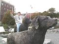 Just Another Day Intro