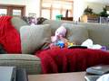 Sitting up and watching football in Door County 13 weeks