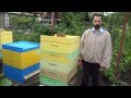 Видео - Грызут ли пчелы пенополистирольный улей