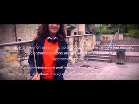 Immagine anteprima YouTube