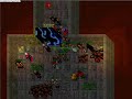  Tibia Furora