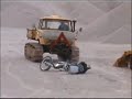 pinzgauer, like a stone pinzgauer, like a stone