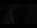 belly dance sandra best of sandradanse com