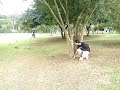 Ca�ador de capivaras assassinas