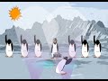 Penguin Rock