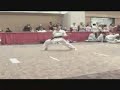 NASKA Traditional Bo Form