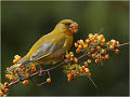 naturaleza