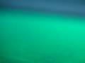 Blue springs Alligator ghars