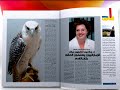 Al Fares may issue
