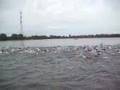 Schwimmstart Breisgau Triathlon 2007