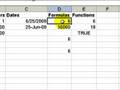 The Basics for Excel 2003 - Data Entry