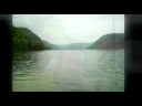 ForestWater ForestWater