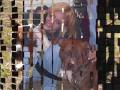 Pitbulls- Why are you afraid of me by Kidwell Productions.wmv