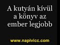 Viccek