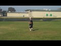Video 73 (2).MP4