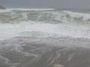 Les Surfers