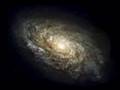 Galaxias