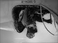 Charlie Chaplin - The Great Dictator - in a plane Charlie Chaplin - The Great Dictator - in a plane