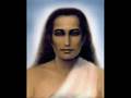 videos de Babaji Mahavatar