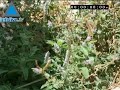 wadi kelt un espacio de historia y naturaleza