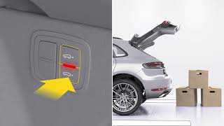 Air Suspension/Level Control