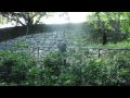Schlossberg-Training (May 2009)