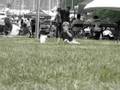 videos de popcorn kid on bowen island