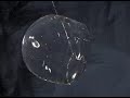 Zero Gravity Water Bubble