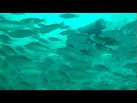 See video