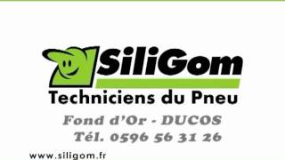 Siligom