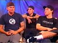 Blink 182 no Video Show