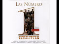 vargas jarabe tapatio