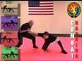 Combat Hapkido