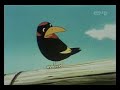 مغامرات سندباد
