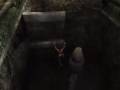Tomb Raider Anniversary - Artifact Guide 9 of 52