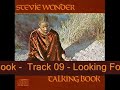 Stevie Wonder - Lookin For Another Pure Love