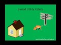 How To Stop Your Dog From Digging